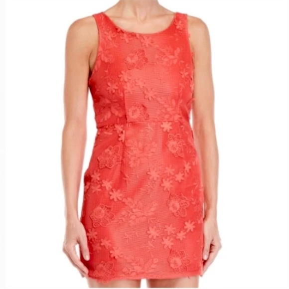 Romeo & Juliet Couture Floral Lace Mini Sheath Dress Cotton Vibrant Coral Large - Picture 15 of 15